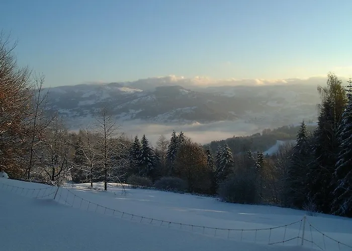 Du Grammont Отель 2*