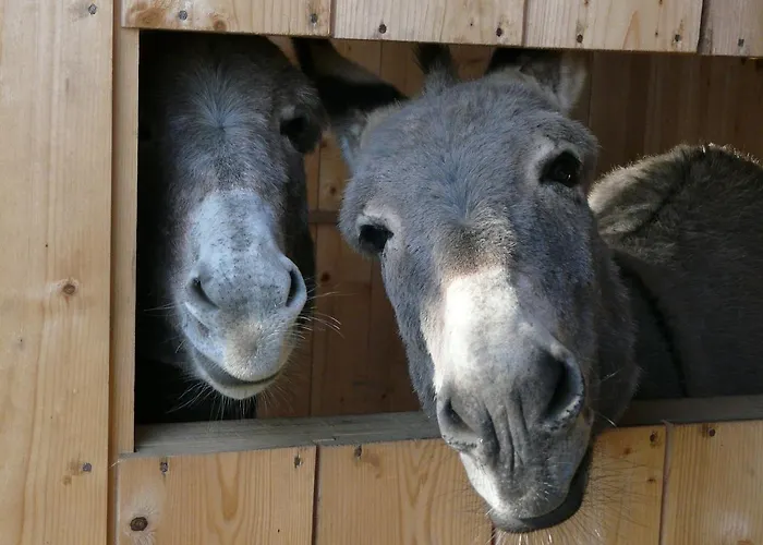 Отель Du Grammont